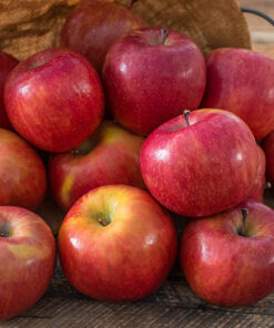 Fuiji Apples