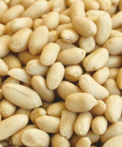 Round blanched peanuts