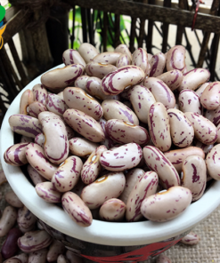 LIGHT SPECKLED KIDNEY BEANS (XINJIANG TYPE )