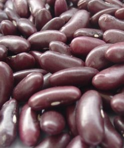 YunNan dark red kidney bean