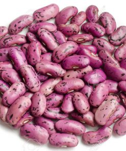 Purple speckled kidney beans