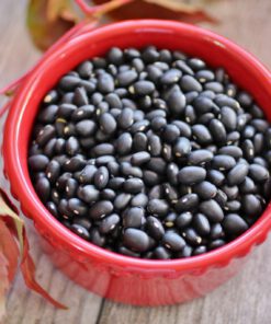 BLACK KIDNEY BEANS/POLISHED BLACK KIDNEY BEANS