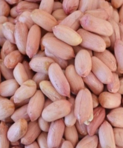 Round peanut 50/60