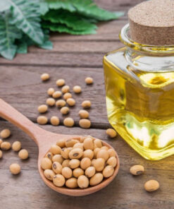 Crude Soybean Oil