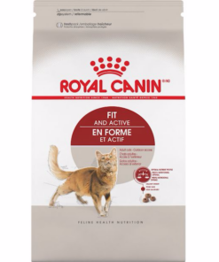 Royal Canin Fit 32 Dry Cats Foods