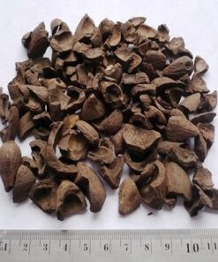 PALM KERNEL SHELL