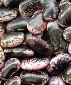 Black speckled kidney bean