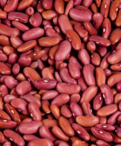 Light red kidney bean