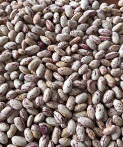 LIGHT SPECKLED KIDNEY BEANS (HUANAN ROUND)