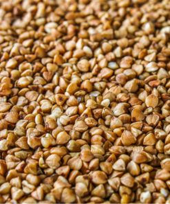 BUCKWHEAT KERNEL