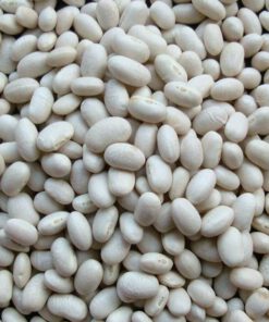 WHITE KIDNEY BEANS (JAPANESE TYPE)