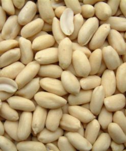 Long blanched peanuts