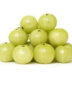 FRESH GOOSEBERRY