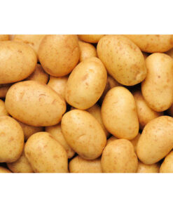 Fresh Potatos