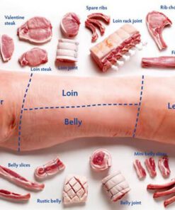 Frozen Pork Cuts