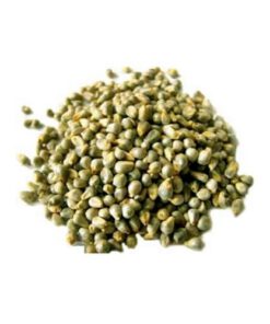 GREEN MILLET