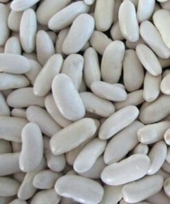 WHITE KIDNEY BEANS (LONG SHAPE)