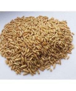 Dehulled Oats (Groats)