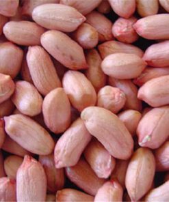 Round peanut 60/70